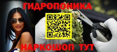 индика Будённовск