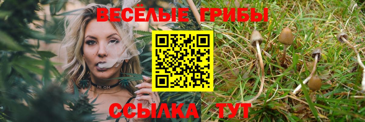 Галлюциногенные грибы GOLDEN TEACHER Шебекино