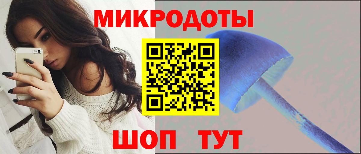 Шебекино  Галлюциногенные грибы Psilocybine cubensis  Вход с VPN 